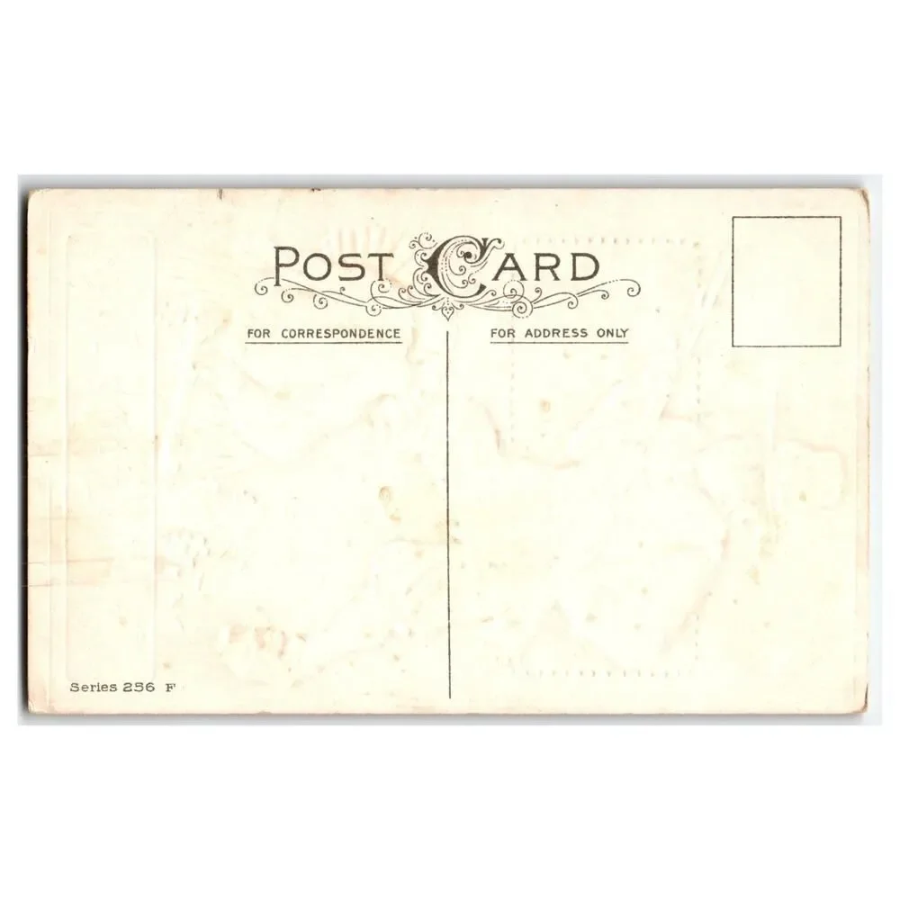 Antique Thanksgiving Joys Pilgrim Turkey Embossed Postcard Series 256 F